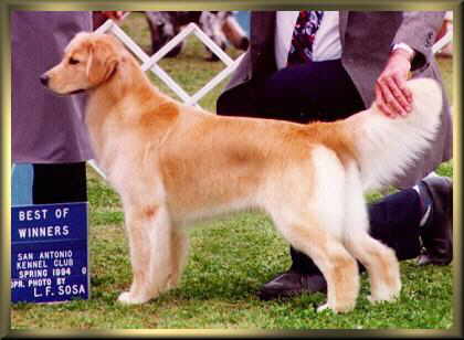 Phoebe stack - 2nd major at 18 mos.