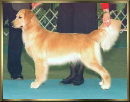 Roo stack - BOW at 10mos.