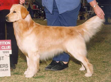 Shane stack - BOW at 18mos.