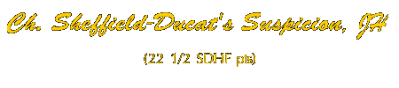 Ch.Sheffield-Ducat's Suspicion, JH  Rumour