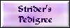 Go to Strider's pedigree