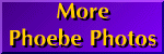 More Phoebe Photos Button