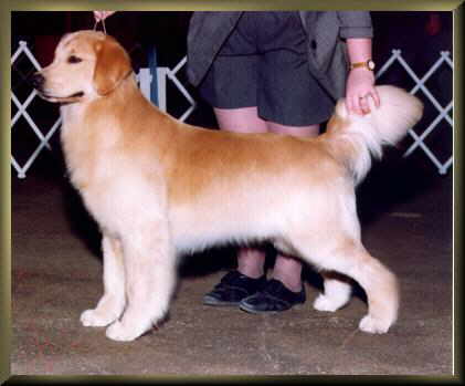 Strider stack - BOB at 14mos.